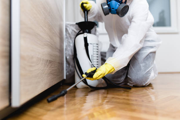 Pest Control Cost in White Pigeon, MI