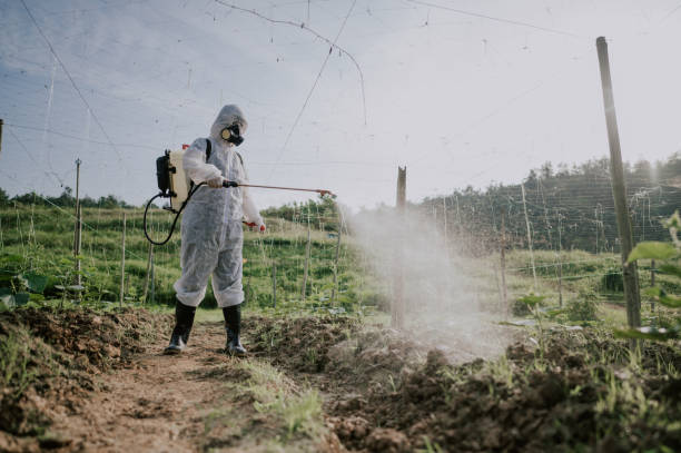 Best Affordable Pest Control Services  in White Pigeon, MI