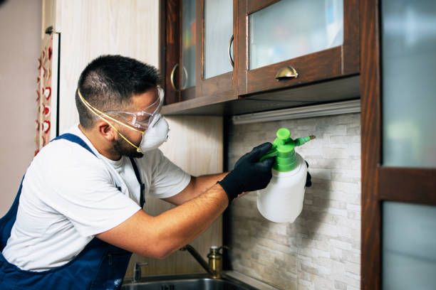 Best Affordable Pest Control Services  in White Pigeon, MI