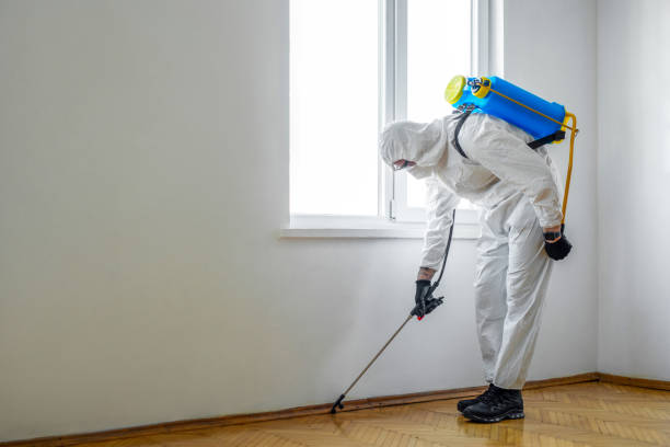 Wildlife Control Services in White Pigeon, MI