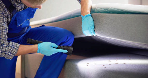 Best Cockroach Control Services  in White Pigeon, MI