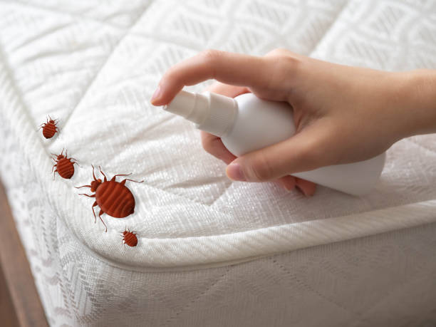 Best Emergency Pest Control  in White Pigeon, MI