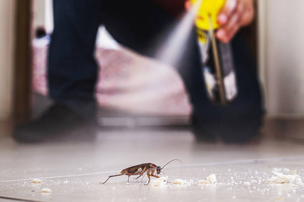 Best Wildlife Control Services  in White Pigeon, MI