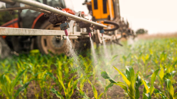 Professional Pest Control in White Pigeon, MI
